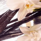 Grass-Fed Whipped Tallow Balm — Nature’s Healing Hydration